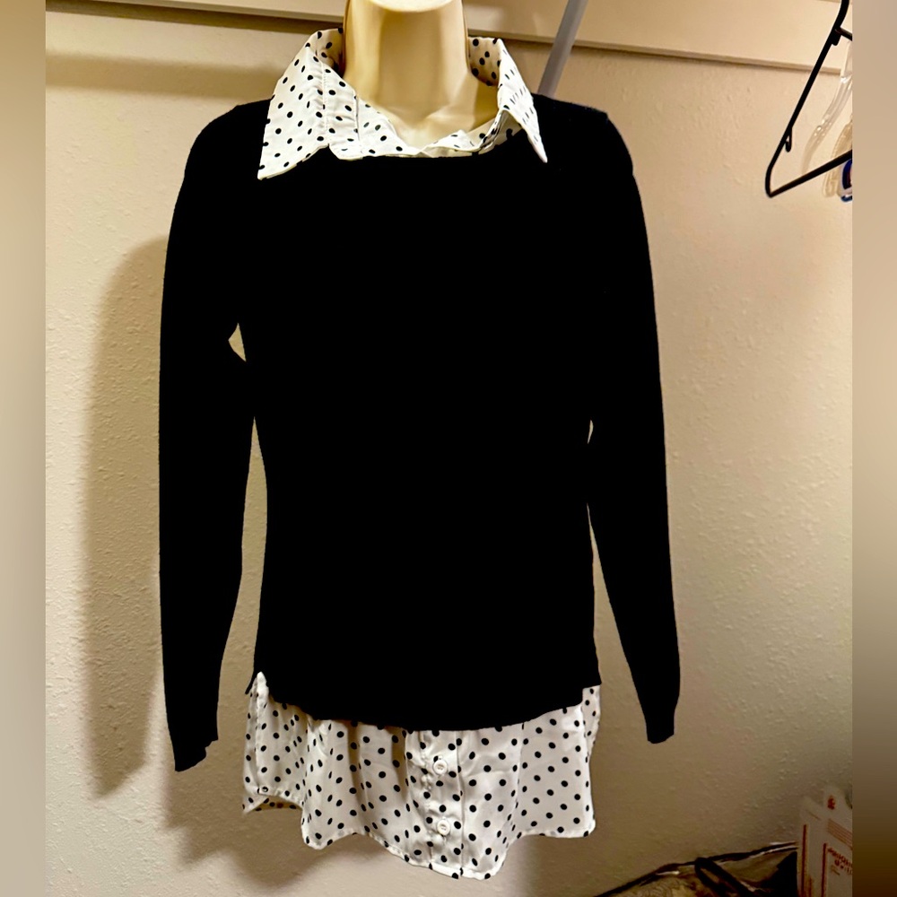Adrianna Pappell Polkadot Sweater Blouse